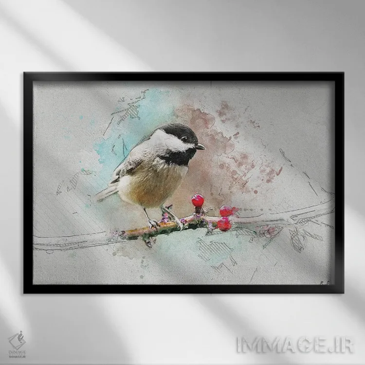 تابلو دکوراتیو کاسکوک اثر راب فرانسیس - نمای قابدار مشکی