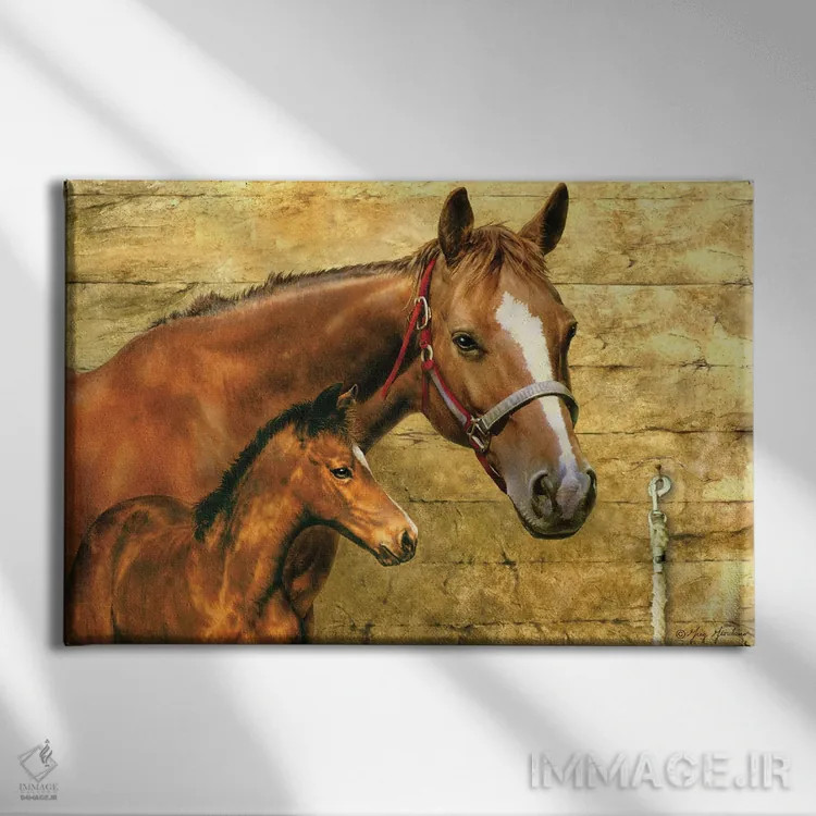 تابلو دکوراتیو مباورها و کره اسب اثر گرگ جوردانو - نمای روبهرو روی دیوار