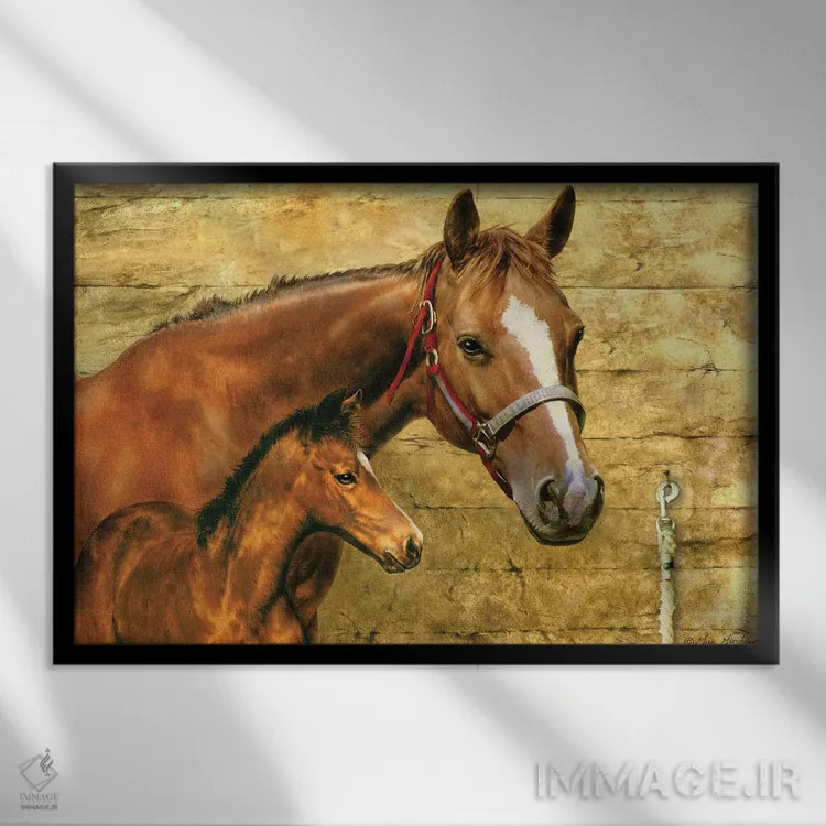 تابلو دکوراتیو مباورها و کره اسب اثر گرگ جوردانو - نمای قابدار مشکی