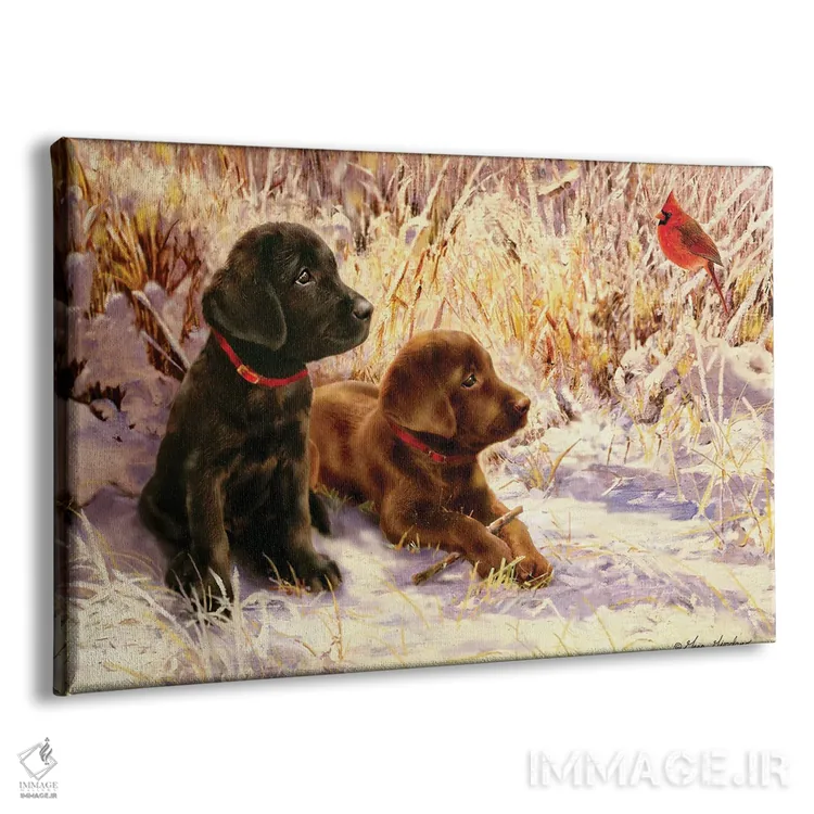 تابلو دکوراتیو لابرادور سیاه و شکلاتی اثر گرگ جوردانو - نمای پرسپکتیو محصول