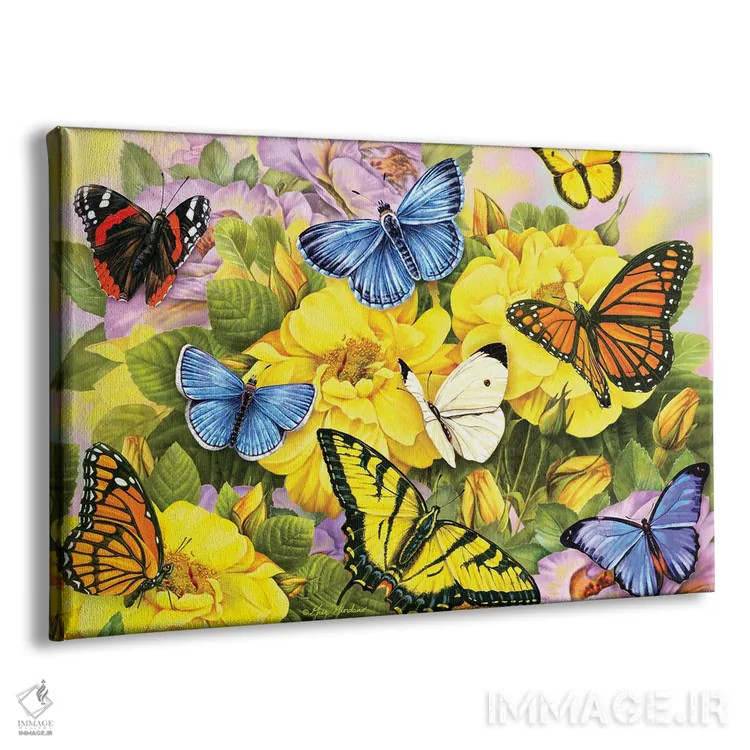 تابلو دکوراتیو پروانه های رنگارنگ I اثر گرگ جوردانو - نمای پرسپکتیو محصول