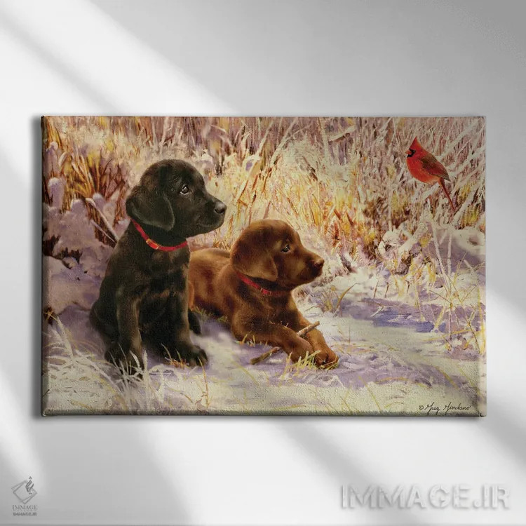 تابلو دکوراتیو لابرادور سیاه و شکلاتی اثر گرگ جوردانو - نمای روبهرو روی دیوار