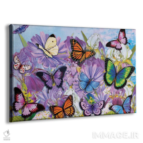 تابلو دکوراتیو پروانه های رنگارنگ II اثر گرگ جوردانو - نمای پرسپکتیو محصول