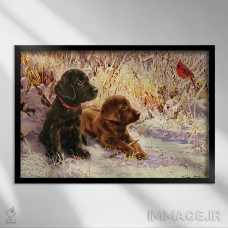 تابلو دکوراتیو لابرادور سیاه و شکلاتی اثر گرگ جوردانو - نمای قابدار مشکی