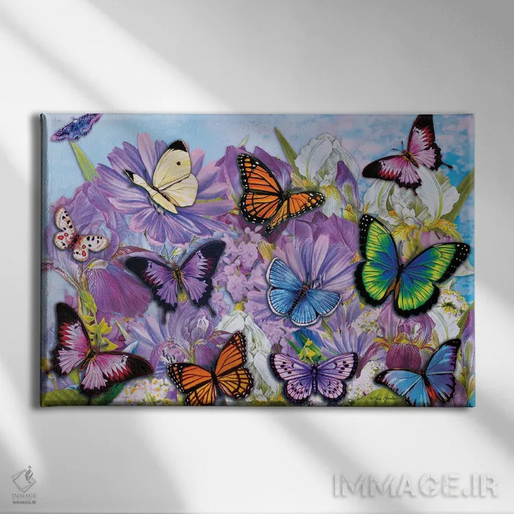 تابلو دکوراتیو پروانه های رنگارنگ II اثر گرگ جوردانو - نمای روبهرو روی دیوار