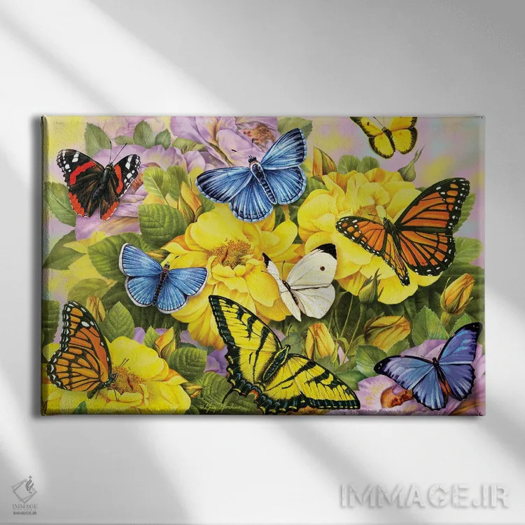 تابلو دکوراتیو پروانه های رنگارنگ I اثر گرگ جوردانو - نمای روبهرو روی دیوار