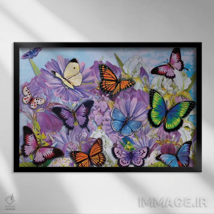تابلو دکوراتیو پروانه های رنگارنگ II اثر گرگ جوردانو - نمای قابدار مشکی