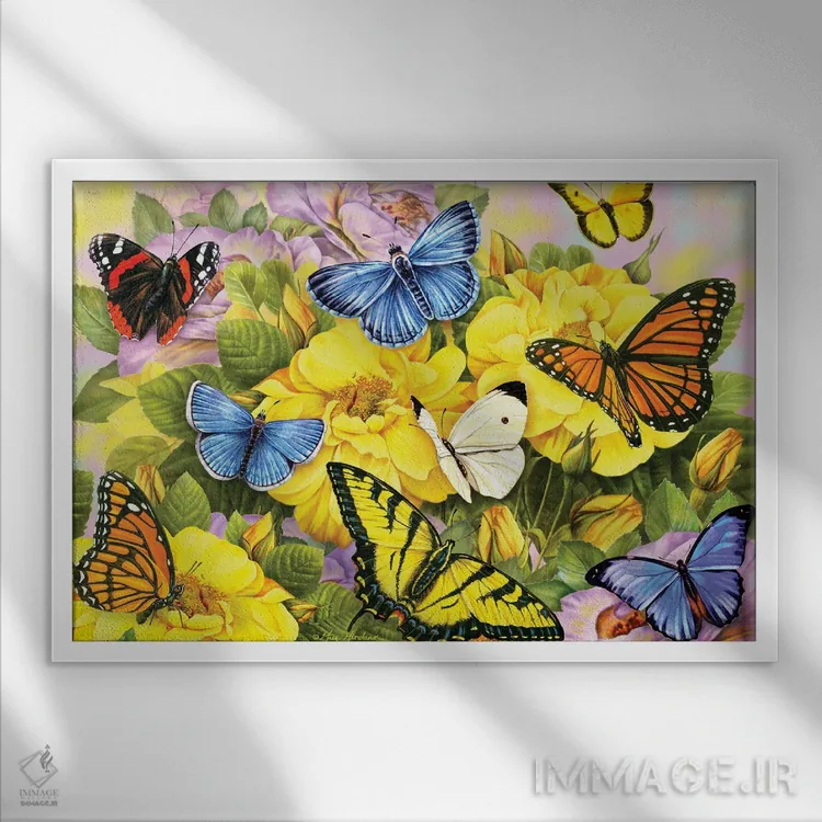 تابلو دکوراتیو پروانه های رنگارنگ I اثر گرگ جوردانو - نمای قابدار سفید