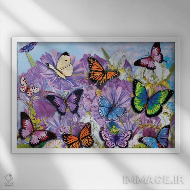 تابلو دکوراتیو پروانه های رنگارنگ II اثر گرگ جوردانو - نمای قابدار سفید