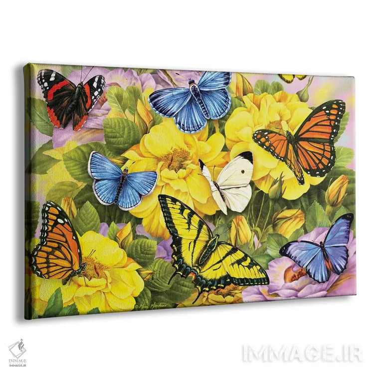 تابلو دکوراتیو پروانه های رنگارنگ اثر گرگ جوردانو - نمای پرسپکتیو محصول