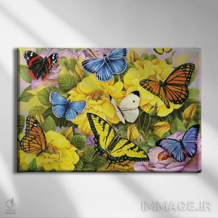 تابلو دکوراتیو پروانه های رنگارنگ اثر گرگ جوردانو - نمای روبهرو روی دیوار