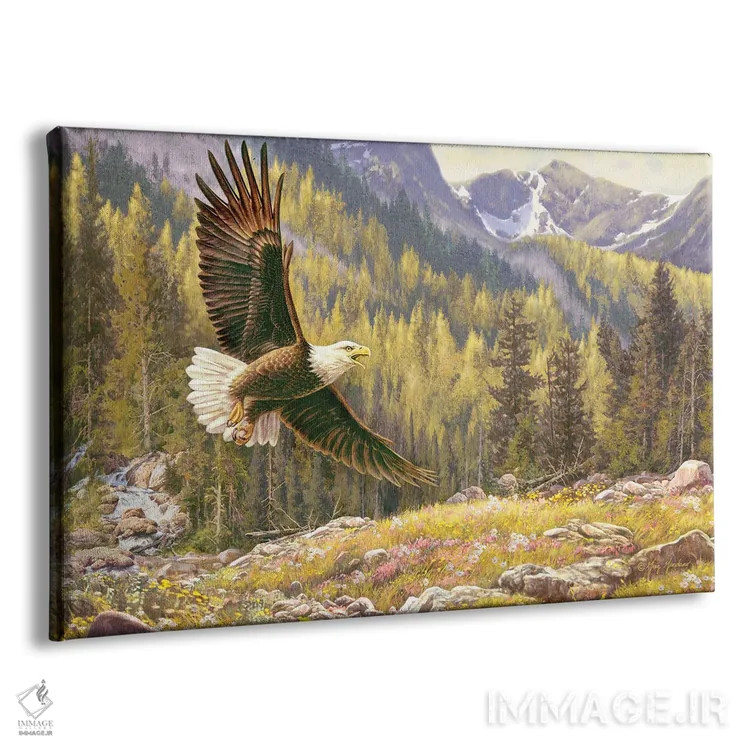 تابلو دکوراتیو عقاب بالای آبشار اثر گرگ جوردانو - نمای پرسپکتیو محصول