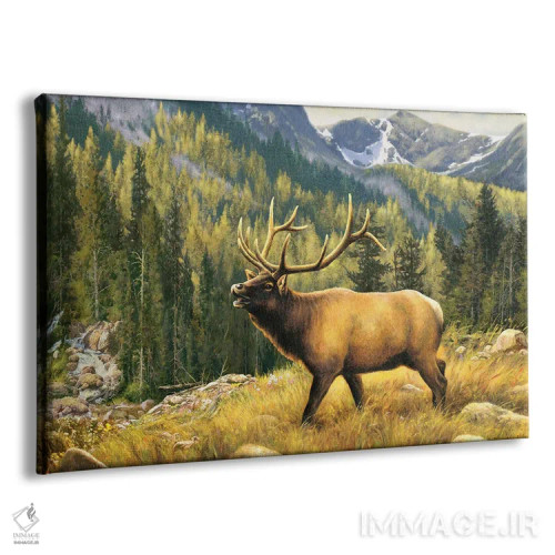 تابلو دکوراتیو شکوه کوهستان-گوزن شمالی اثر گرگ جوردانو - نمای پرسپکتیو محصول