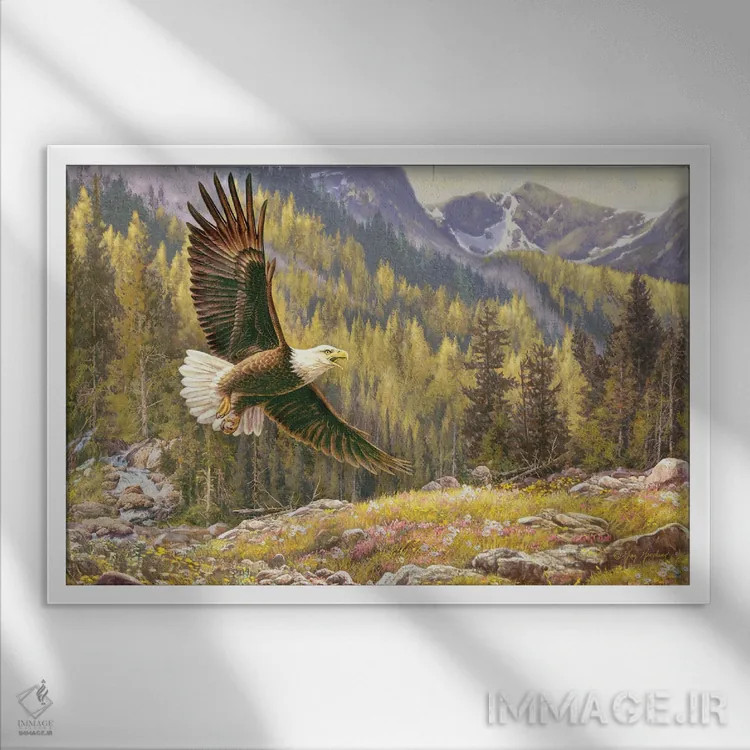تابلو دکوراتیو عقاب بالای آبشار اثر گرگ جوردانو - نمای قابدار سفید