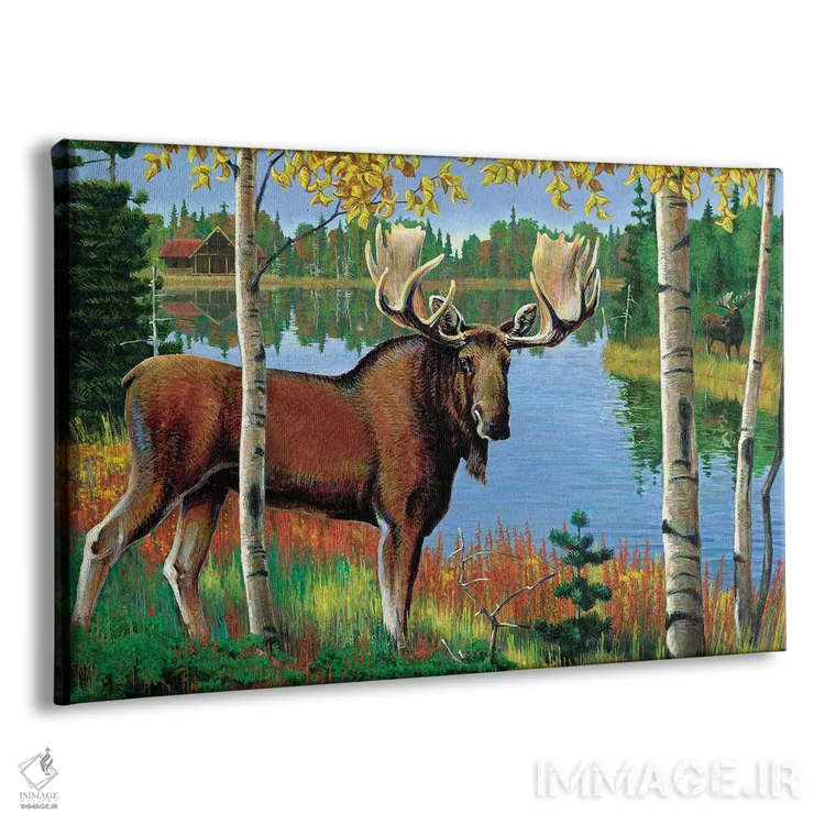 تابلو دکوراتیو گوزن شمالی کنار دریاچه اثر جی. چارلز - نمای پرسپکتیو محصول