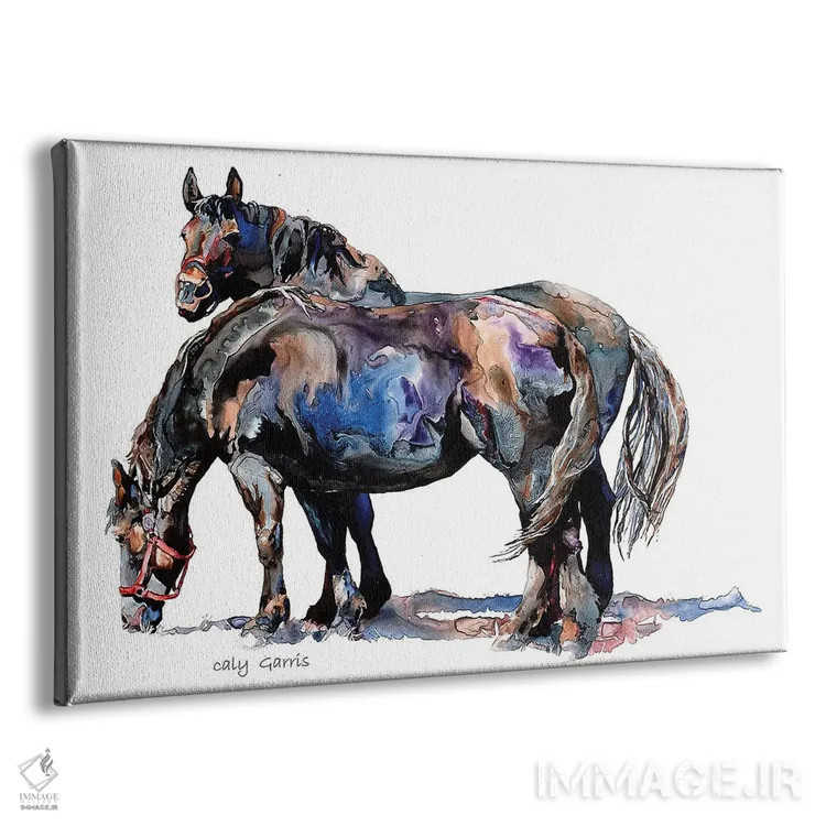 تابلو دکوراتیو یک جفت زیبا اثر کالی گاریس - نمای پرسپکتیو محصول