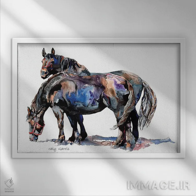 تابلو دکوراتیو یک جفت زیبا اثر کالی گاریس - نمای قابدار سفید