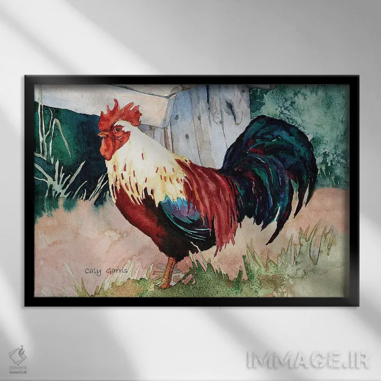 تابلو دکوراتیو قدقد اثر کالی گاریس - نمای قابدار مشکی