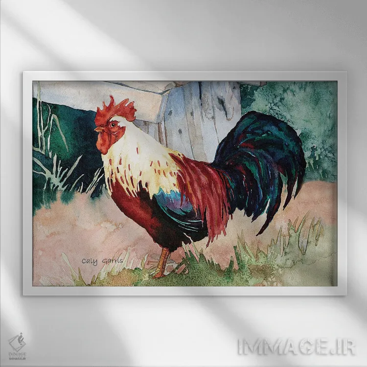 تابلو دکوراتیو قدقد اثر کالی گاریس - نمای قابدار سفید