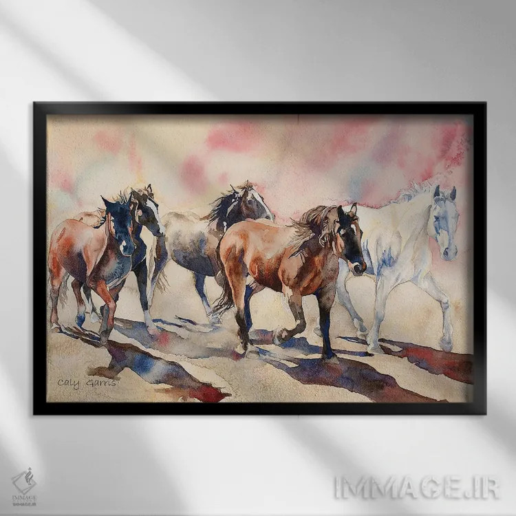 تابلو دکوراتیو حرکت به سوی V اثر کالی گاریس - نمای قابدار مشکی