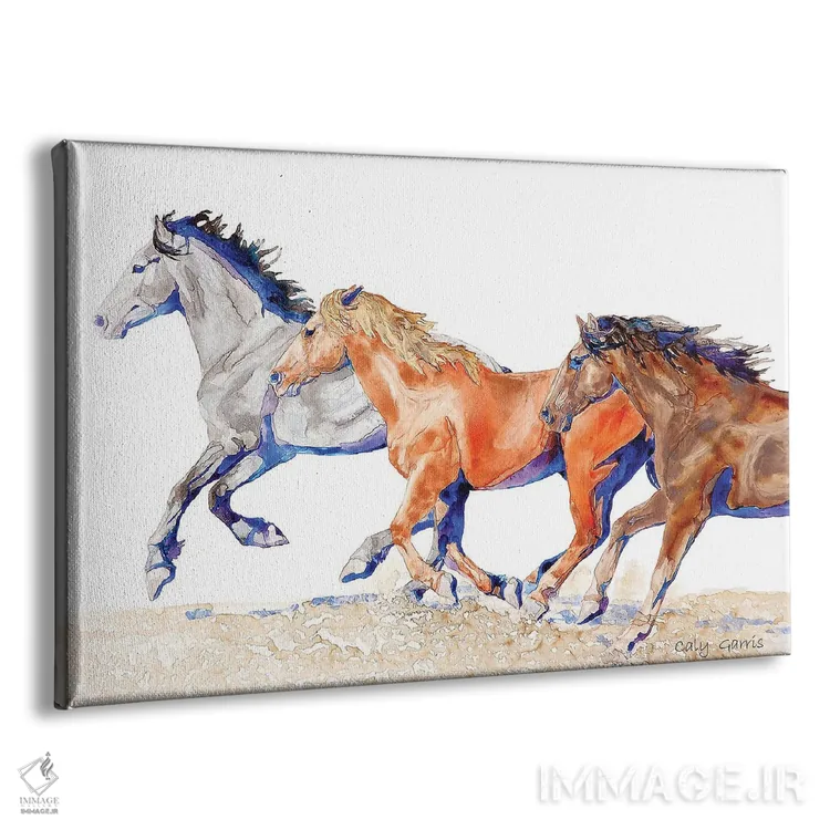 تابلو دکوراتیو فلزی ها اثر کالی گاریس - نمای پرسپکتیو محصول