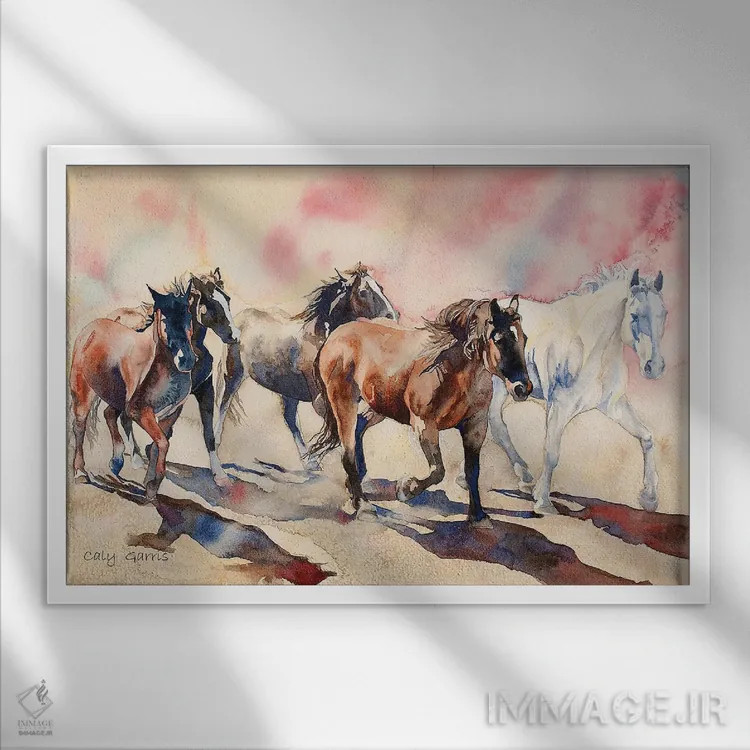 تابلو دکوراتیو حرکت به سوی V اثر کالی گاریس - نمای قابدار سفید