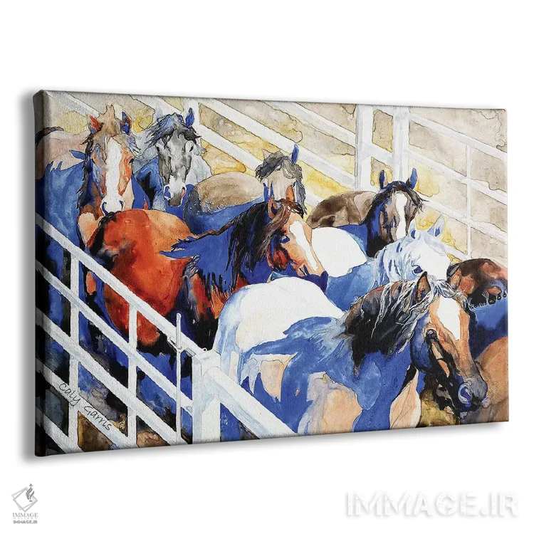 تابلو دکوراتیو جمع آوری V اثر کالی گاریس - نمای پرسپکتیو محصول