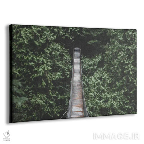 تابلو دکوراتیو دره لین، ونکوور II اثر لوک آنتونی گرم - نمای پرسپکتیو محصول