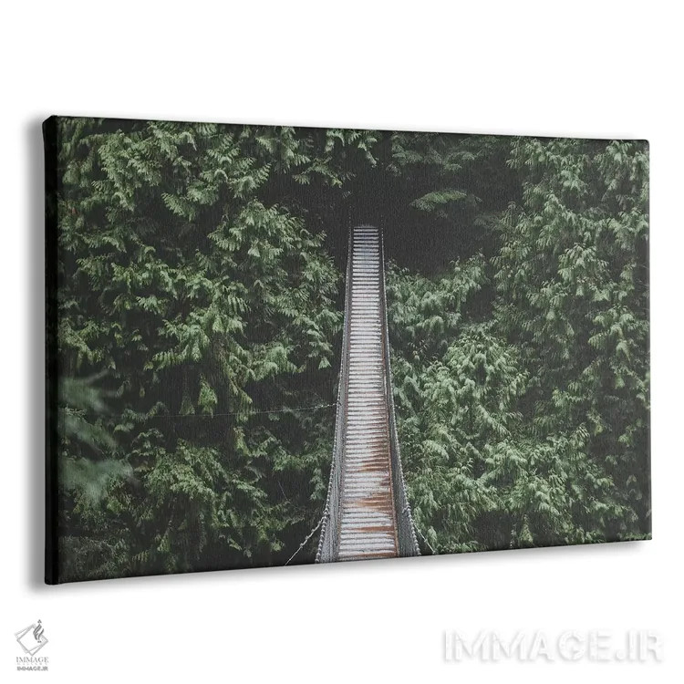 تابلو دکوراتیو دره لین، ونکوور II اثر لوک آنتونی گرم - نمای پرسپکتیو محصول