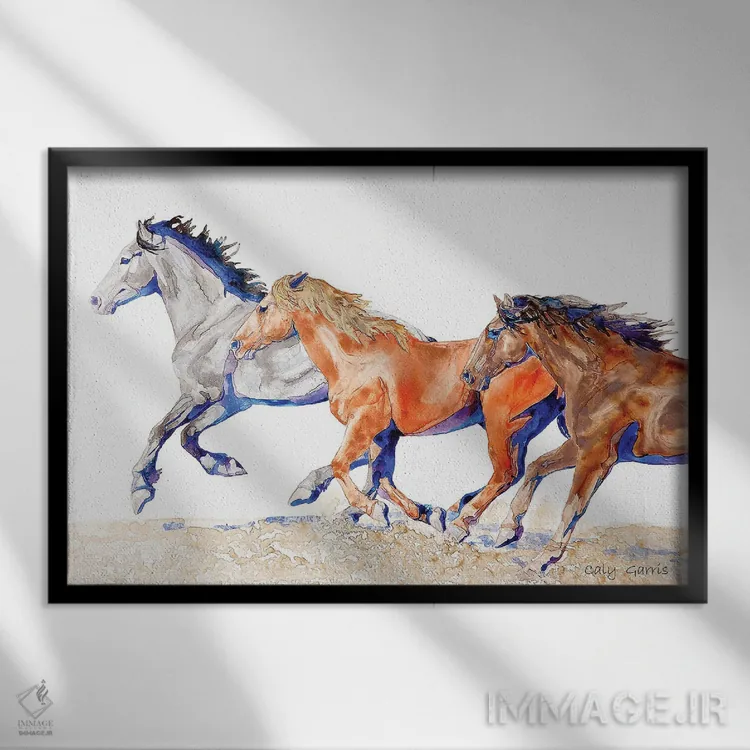 تابلو دکوراتیو فلزی ها اثر کالی گاریس - نمای قابدار مشکی