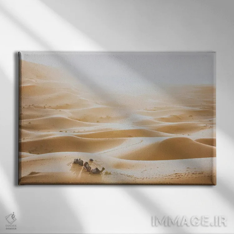 تابلو دکوراتیو بیابان صحرای آفریقا اثر لوک آنتونی گرم - نمای روبهرو روی دیوار