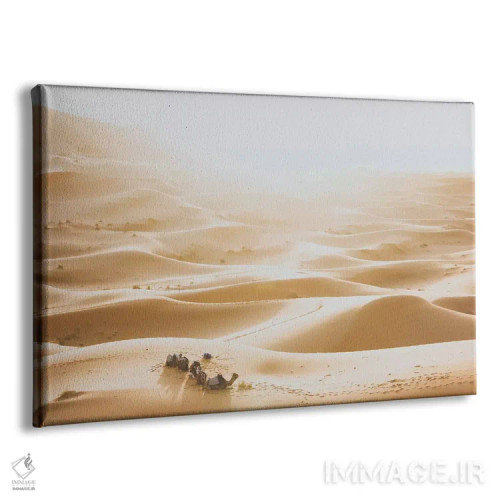تابلو دکوراتیو بیابان صحرای آفریقا اثر لوک آنتونی گرم - نمای پرسپکتیو محصول