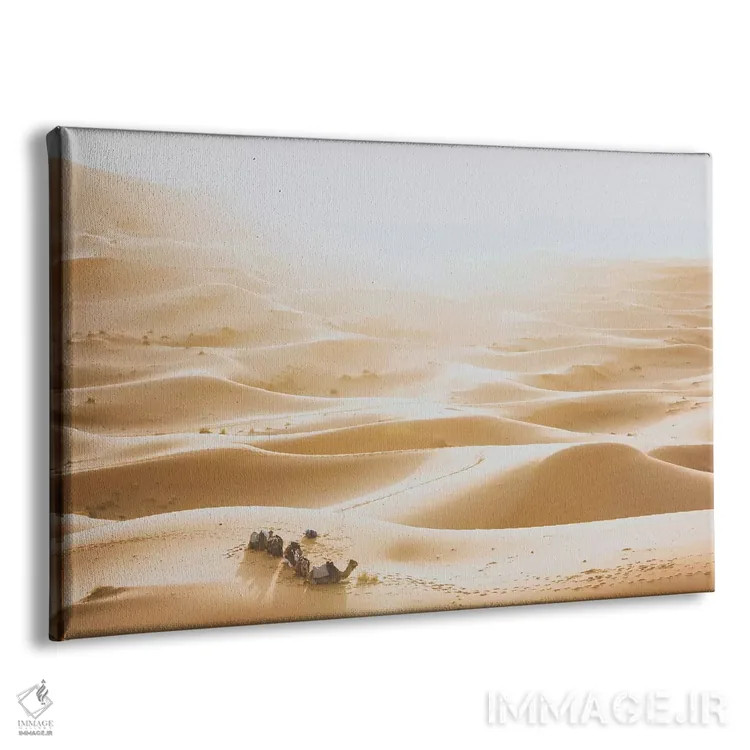 تابلو دکوراتیو بیابان صحرای آفریقا اثر لوک آنتونی گرم - نمای پرسپکتیو محصول