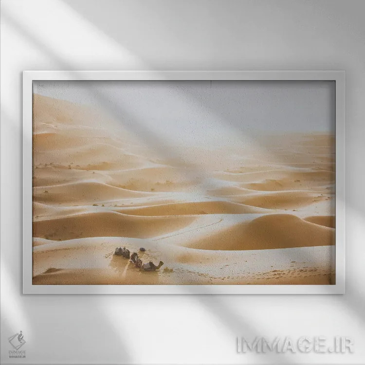 تابلو دکوراتیو بیابان صحرای آفریقا اثر لوک آنتونی گرم - نمای قابدار سفید