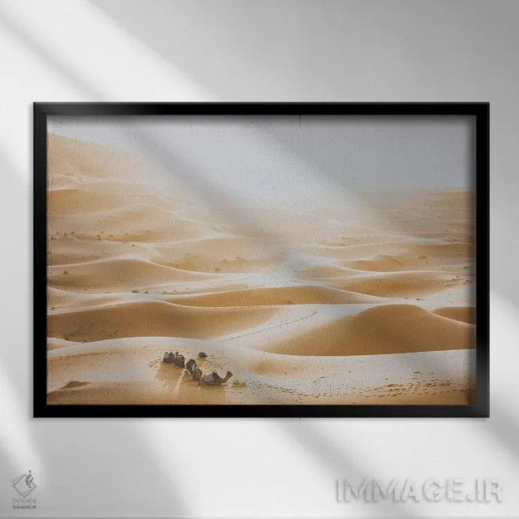 تابلو دکوراتیو بیابان صحرای آفریقا اثر لوک آنتونی گرم - نمای قابدار مشکی