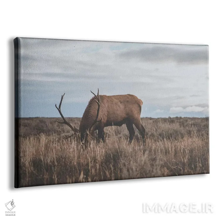 تابلو دکوراتیو وایومینگ، آمریکا اثر لوک آنتونی گرم - نمای پرسپکتیو محصول