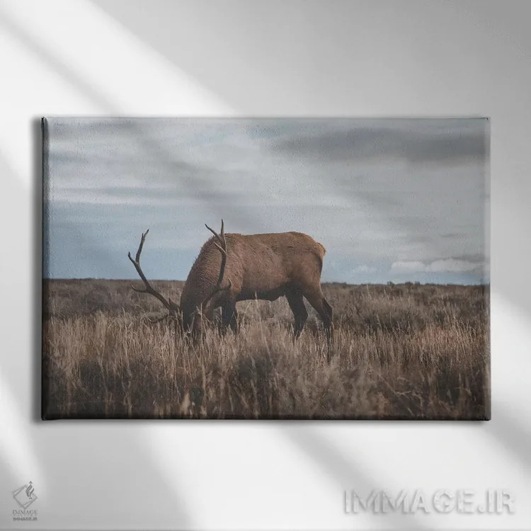 تابلو دکوراتیو وایومینگ، آمریکا اثر لوک آنتونی گرم - نمای روبهرو روی دیوار