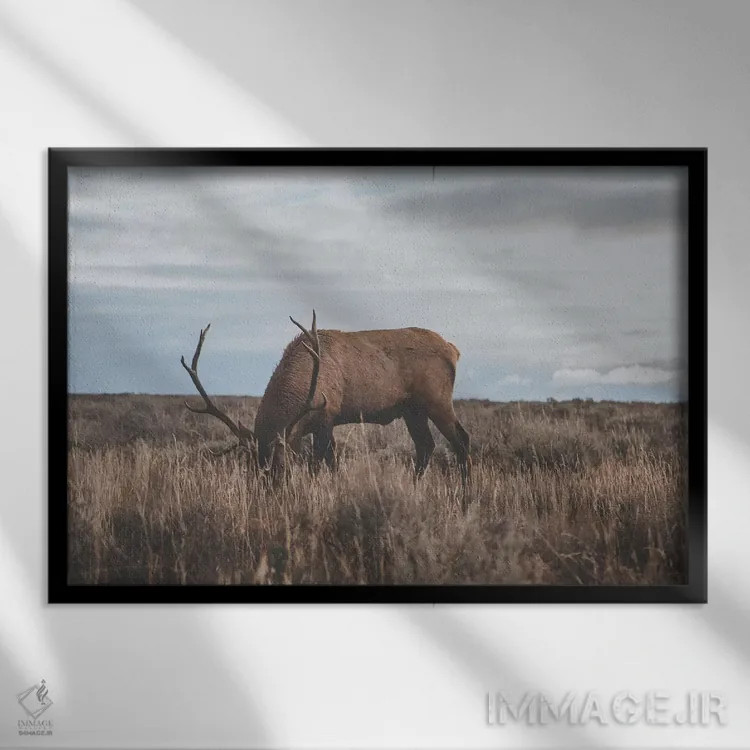 تابلو دکوراتیو وایومینگ، آمریکا اثر لوک آنتونی گرم - نمای قابدار مشکی