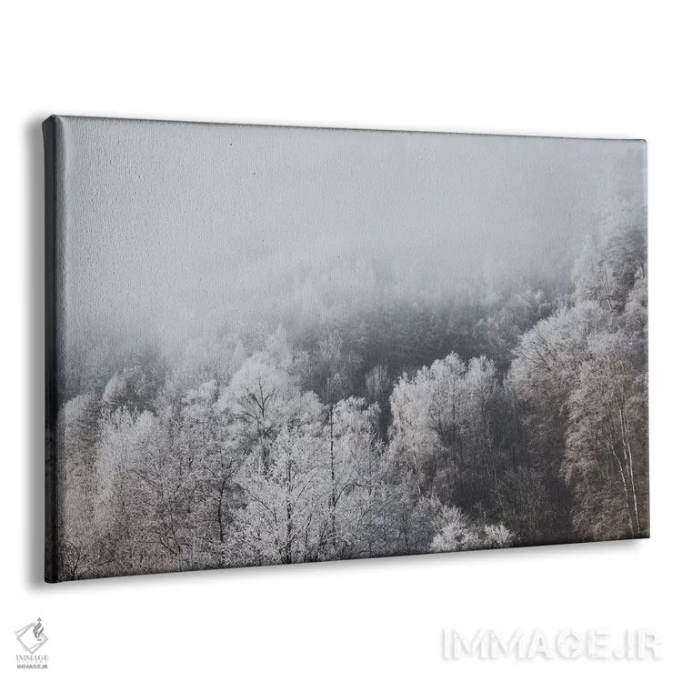 تابلو دکوراتیو بوخس، سوئیس II اثر لوک آنتونی گرم - نمای پرسپکتیو محصول