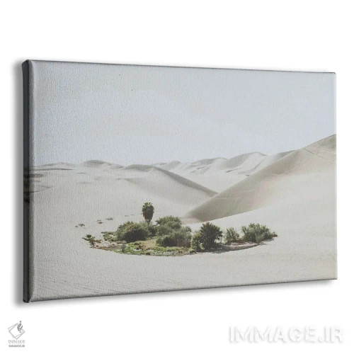 تابلو دکوراتیو ایکای پرو اثر لوک آنتونی گرم - نمای پرسپکتیو محصول