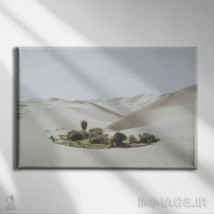 تابلو دکوراتیو ایکای پرو اثر لوک آنتونی گرم - نمای روبهرو روی دیوار