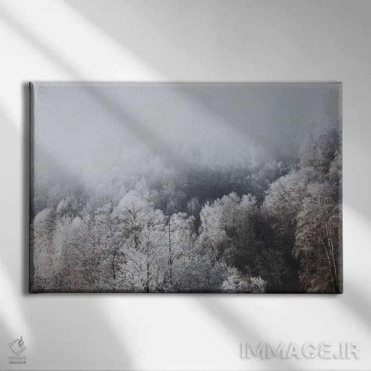 تابلو دکوراتیو بوخس، سوئیس II اثر لوک آنتونی گرم - نمای روبهرو روی دیوار