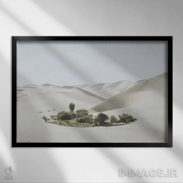 تابلو دکوراتیو ایکای پرو اثر لوک آنتونی گرم - نمای قابدار مشکی