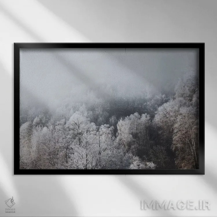 تابلو دکوراتیو بوخس، سوئیس II اثر لوک آنتونی گرم - نمای قابدار مشکی