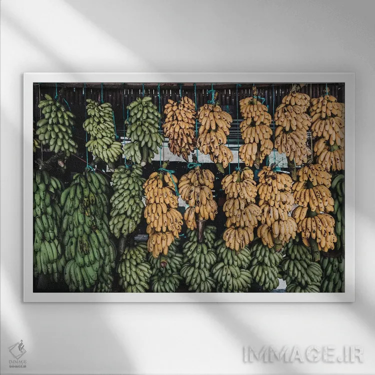 تابلو دکوراتیو غرفه موز، گواتمالا اثر لوک آنتونی گرم - نمای قابدار سفید