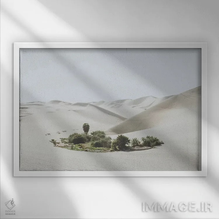 تابلو دکوراتیو ایکای پرو اثر لوک آنتونی گرم - نمای قابدار سفید