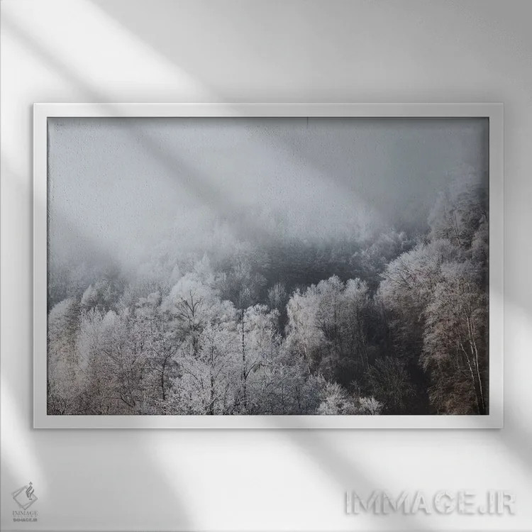 تابلو دکوراتیو بوخس، سوئیس II اثر لوک آنتونی گرم - نمای قابدار سفید