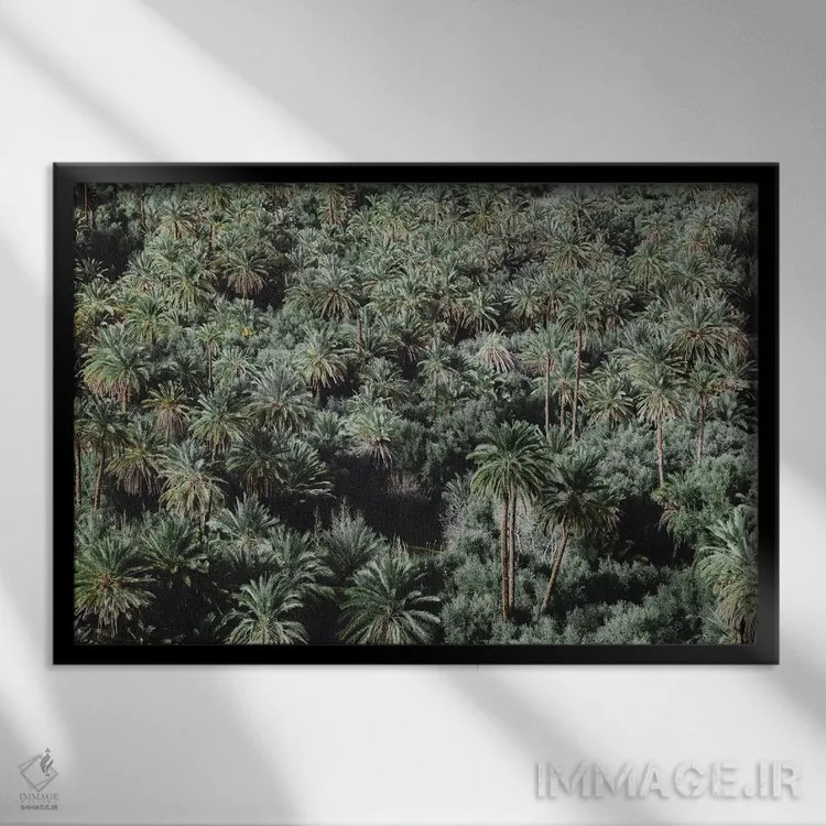 تابلو دکوراتیو درختان نخل، مراکش اثر لوک آنتونی گرم - نمای قابدار مشکی