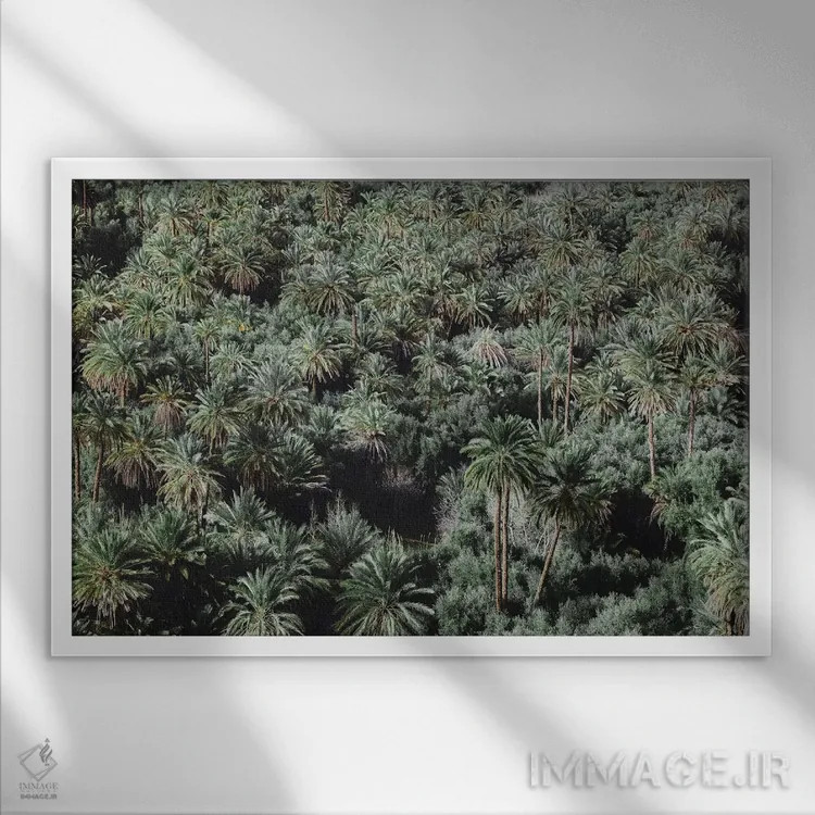 تابلو دکوراتیو درختان نخل، مراکش اثر لوک آنتونی گرم - نمای قابدار سفید