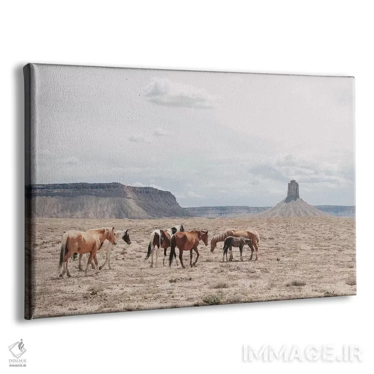 تابلو دکوراتیو آریزونا اثر لوک آنتونی گرم - نمای پرسپکتیو محصول